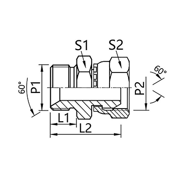 2B British pipe external thread 60° internal cone / British pipe internal thread 60° external cone Fitting